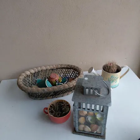 A10 Nel Borgo- Con Giardino Vista Mare Guardistallo